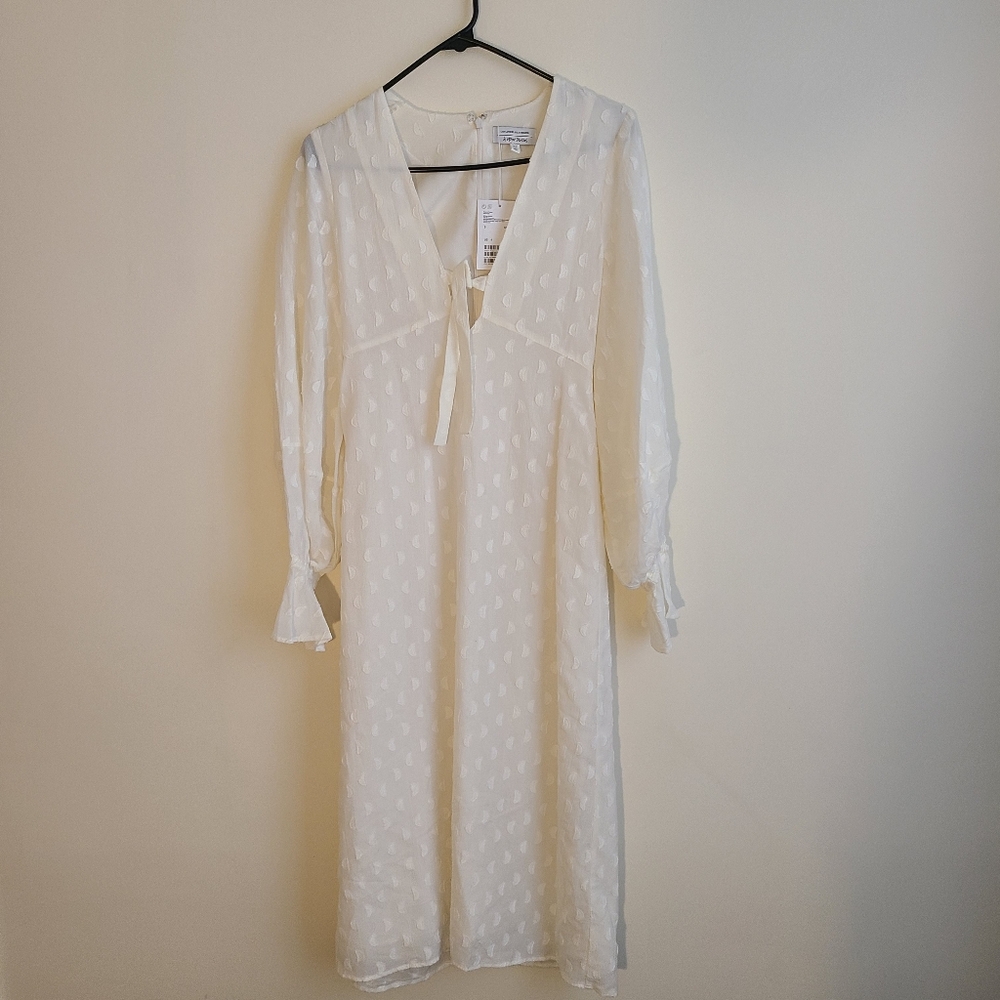 & Other Stories NWT Moon Embroidered Midi Dress